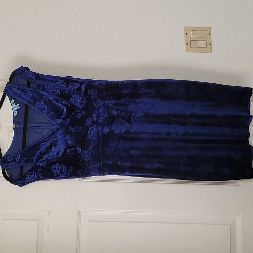 Nwt Prosecco blue velvet dress